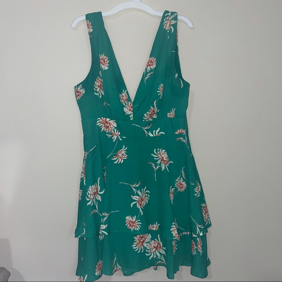 NWT BB Dakota garden strolls dress in green! - Picture 15 of 16